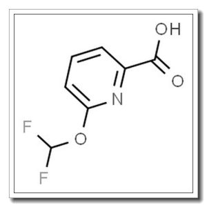 6-(二氟甲氧基)吡啶甲酸