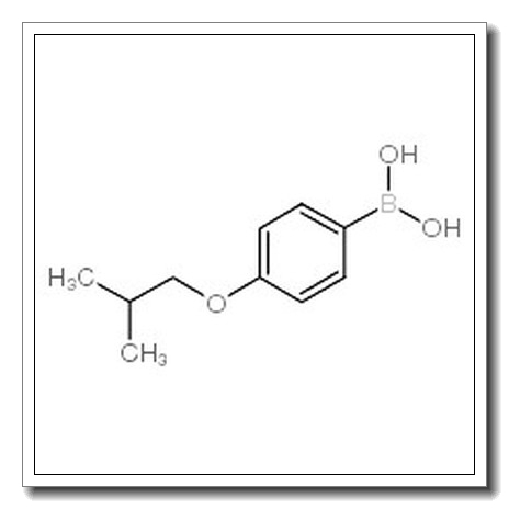 (4-Isobutoxyphenyl)boronic acid CAS 153624-44-3