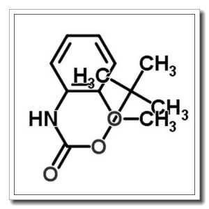 (2-甲氧基苯基)-氨基甲酸-1,1-二甲基乙酯