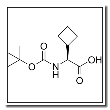 Boc-L-环丁基甘氨酸