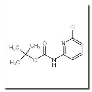 2-BOC-氨基-6-氯吡啶