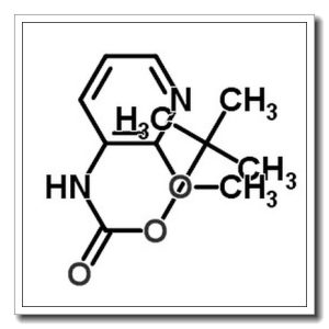 2-甲氧基吡啶-3-氨基甲酸叔丁酯