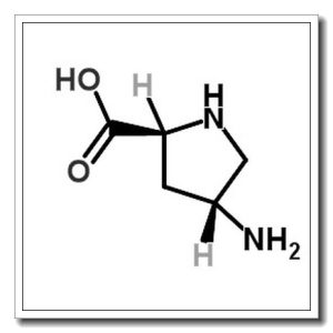 (2S,4R)-4-氨基吡咯烷-2-羧酸
