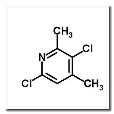 3,6-Dichloro-2,4-dimethylpyridine