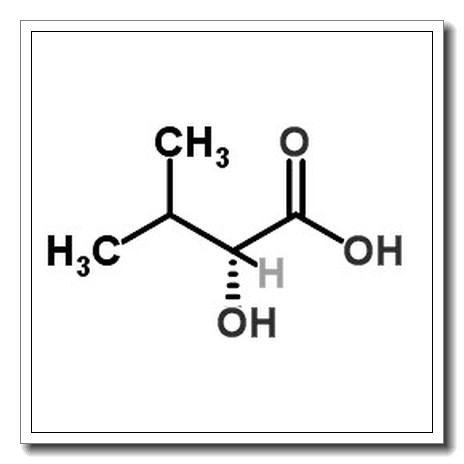 L-α-羟基异戊酸
