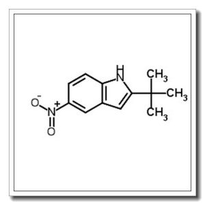 2-叔丁基-5-硝基吲哚