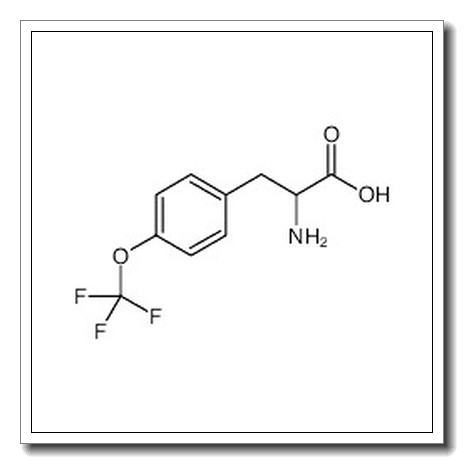 2-amino-3-[4-(trifluoromethoxy)phenyl]propanoic acid