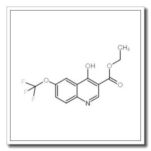 4-羟基-6-(三氟甲氧基)喹啉-3-羧酸乙酯