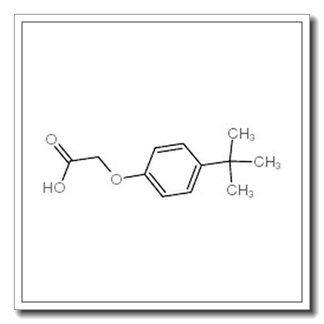 4-叔-丁基苯氧基乙酸