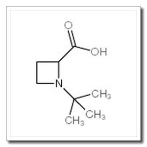 1-叔丁基-2-氮杂丁烷羧酸