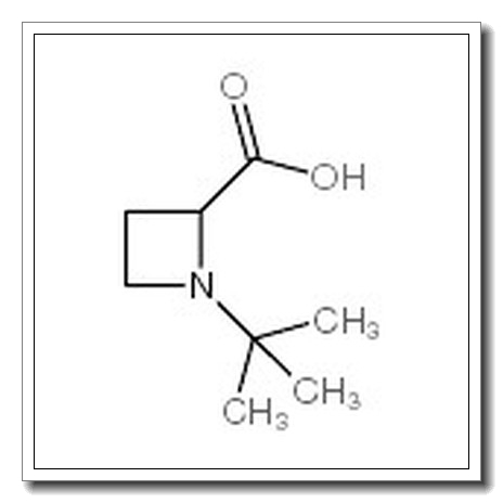 1-叔丁基-2-氮杂丁烷羧酸