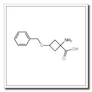 1-氨基-3-苯甲氧基-环丁烷羧酸