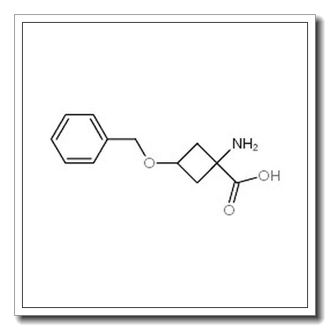 1-氨基-3-苯甲氧基-环丁烷羧酸