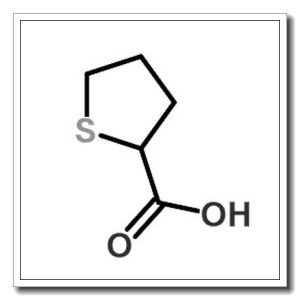 四氢-2-噻吩羧酸