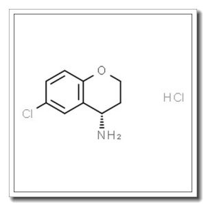 DS-12554