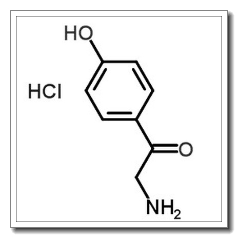 4-羟基-Alpha-氨基苯乙酮盐酸盐