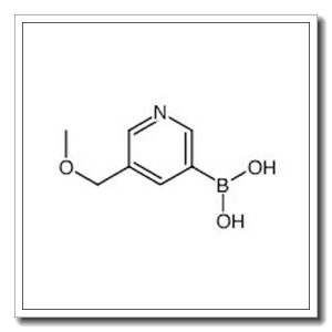 5-甲氧基甲基-3-吡啶硼酸