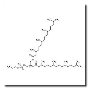 (2R)-3-{[(2-Aminoethoxy)(hydroxy)phosphoryl]oxy}-2-[(3,7,11,15-te tramethylhexadecanoyl)oxy]propyl 3,7,11,15-tetramethylhexadecanoa te