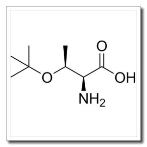 O-叔丁基-L-别苏氨酸