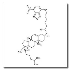 (3β,20R)-Cholest-5-en-3-yl 6-[(7-nitro-2,1,3-benzoxadiazol-4-yl)a mino]hexanoate