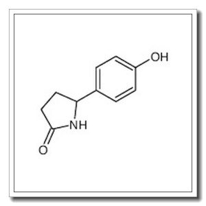 5-(4-hydroxy-phenyl)-pyrrolidin-2-one