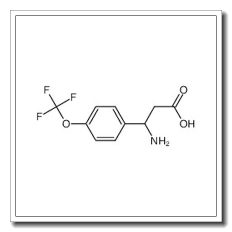 3-amino-3-[4-(trifluoromethoxy)phenyl]propanoic acid CAS 213192-56-4