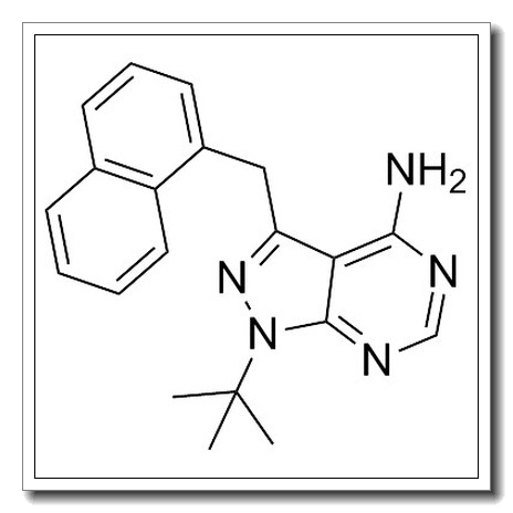 1-nm-pp1 CAS 221244-14-0