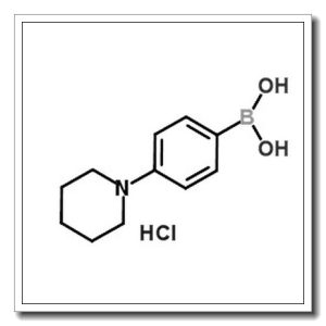 4-哌啶基苯硼酸盐酸盐