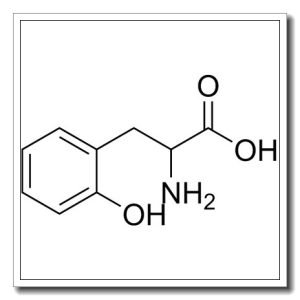 DL-o-络氨酸
