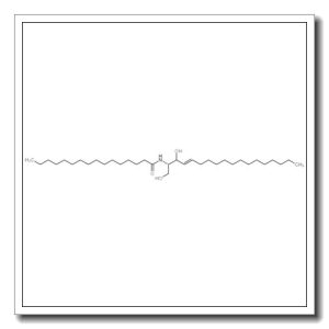 N-棕榈酰神经鞘氨醇