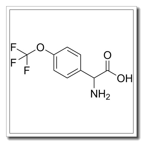 2-amino-2-[4-(trifluoromethoxy)phenyl]acetic acid CAS 261952-24-3