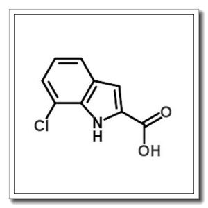 7-氯吲哚-2-羧酸