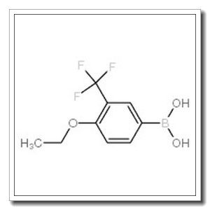 4-乙氧基-2-(三氟甲基)苯硼酸