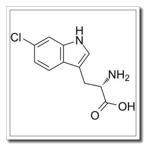 6-氯-L-色氨酸