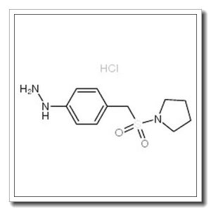 4-(1-吡咯烷基磺酰基甲基)苯肼盐酸盐