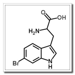 6-溴-DL-色氨酸