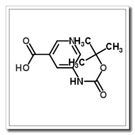 5-叔丁氧羰基氨基吡啶-3-羧酸