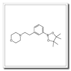 4-(3-(4,4,5,5-四甲基-1,3,2-二噁硼烷-2-基)苯乙基)吗啉