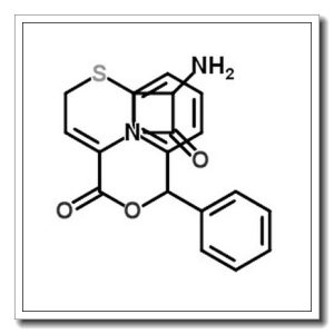 头孢布烯母核