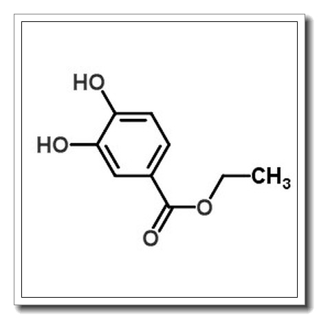 Ethyl 3,4-dihydroxybenzoate CAS 3943-89-3