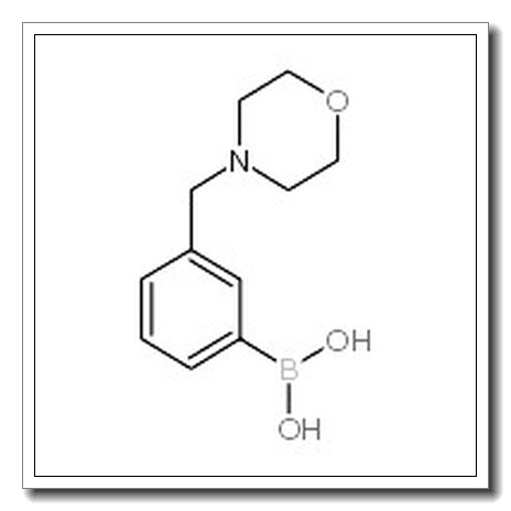3-吗啉甲基苯硼酸