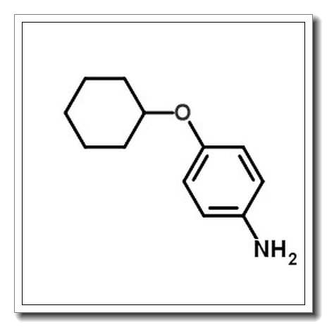 4-(Cyclohexyloxy)aniline CAS 39905-48-1