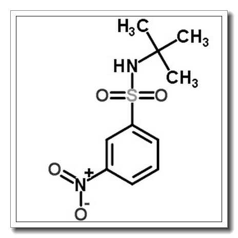 N-叔丁基-3-硝基苯磺酰胺