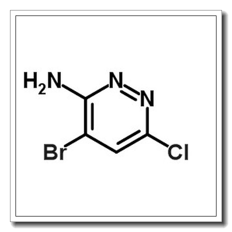 3-Amino-4-bromo-6-chloropyridazine CAS 446273-59-2