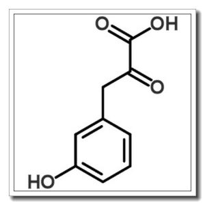 3-hydroxy-α-oxo-benzenepropanoic acid