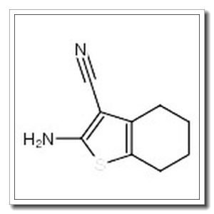 2-氨基-3-腈基-4,5,6,7–四氢苯并[B]噻吩