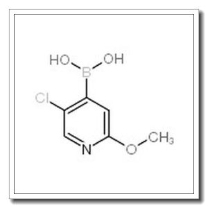 2-甲氧基-5-氯吡啶-4-硼酸