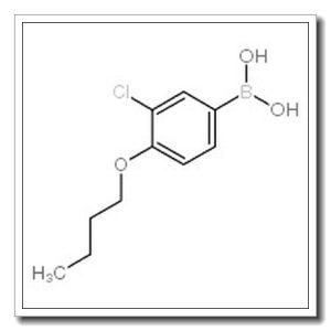 4-丁氧基-3-氯苯基硼酸