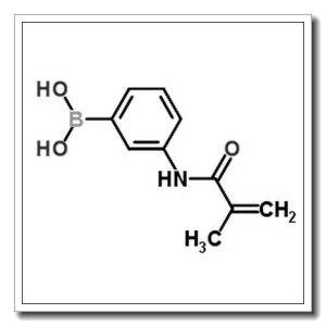 3-甲基丙烯酰胺基苯基硼酸