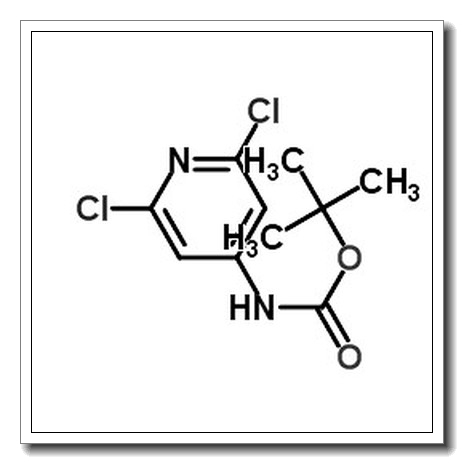 N-Boc-4-氨基-2,6-二氯吡啶